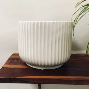 Pheonix - White Ceramic Pot