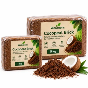 Cocopeat Bricks - 1Kg/5Kg